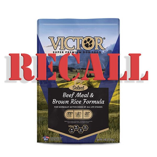 Voluntary Recall: Victor Beef Meal & Rice Dog Food Due to Possible Salmonella Health Risk [Video]