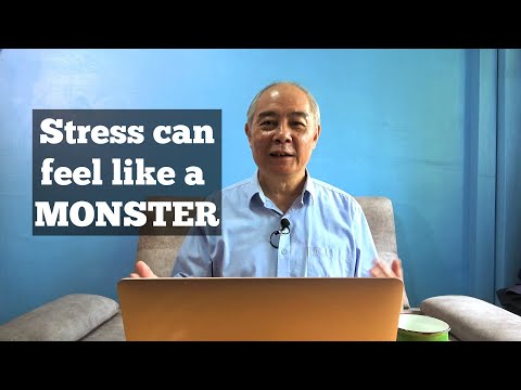Mental Wellness with a Biblical Perspective: How to Calm Your Stressed-Out Brain. [Video]