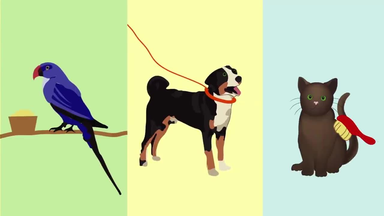 The hidden work of pets in helping people with [Video]