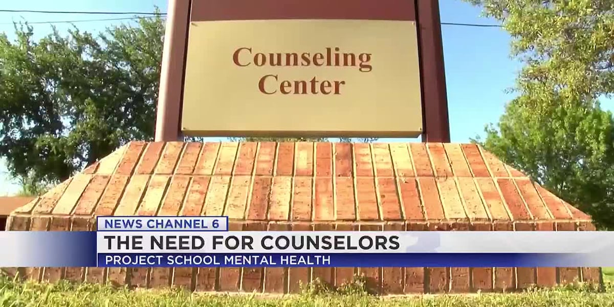 Grant aims to put counselors in schools [Video]