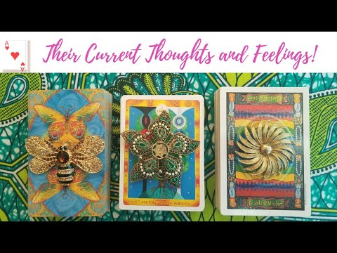 Their Thoughts and Feelings About You and the Connection [Video]