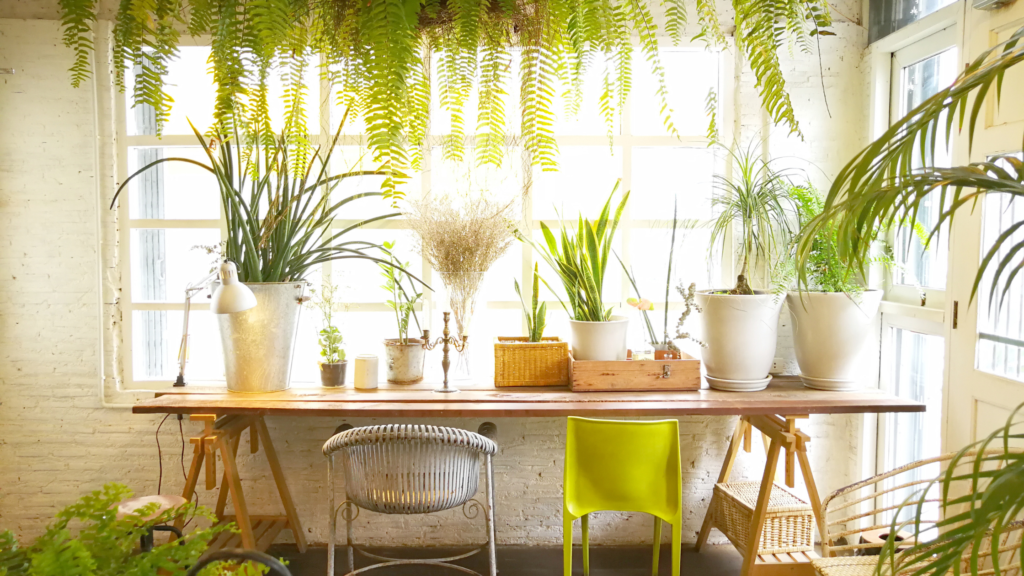 Indoor Gardens: Bringing Nature and Tranquility to Your Living Space [Video]