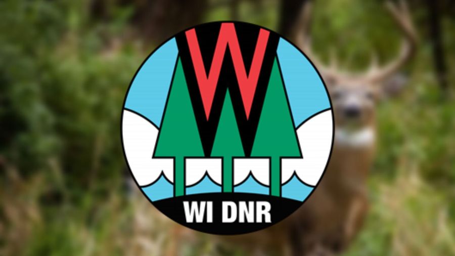Wild deer tests positive for CWD, baiting & feeding ban renewed for Waushara County [Video]