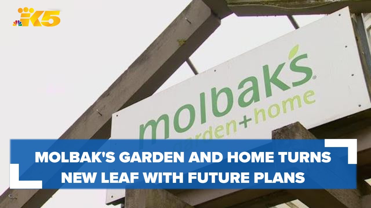 King 5 Seattle: Molbak’s Garden and Home Gets New Life with Green Phoenix Collaborative [Video]