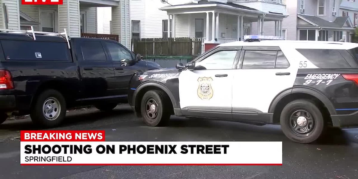 1 dead after shooting on Phoenix Street in Springfield [Video]