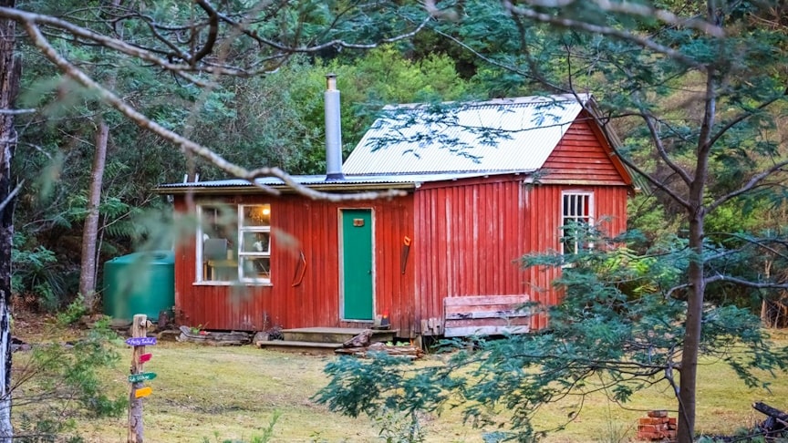Abandoned Hut Turned Into A Dream Woodland Cabin [Video]