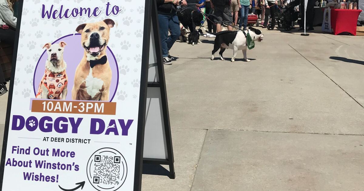 Doggy Day returns to the Deer District [Video]