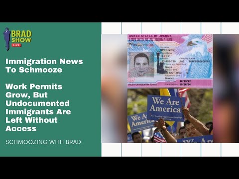 Work Permits Grow, But Undocumented Immigrants Are Left Without Access [Video]