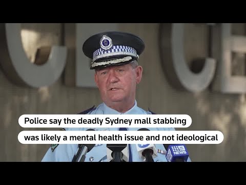 ‘Mental health issue’: Police on Sydney mall stabbing | REUTERS [Video]