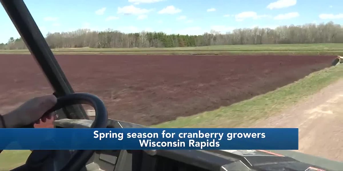 Spring season for cranberry growers [Video]