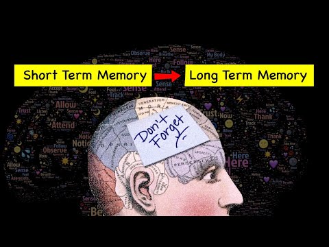 2 Steps Method to Create Strong Memory | How to Memorize anything? [Video]