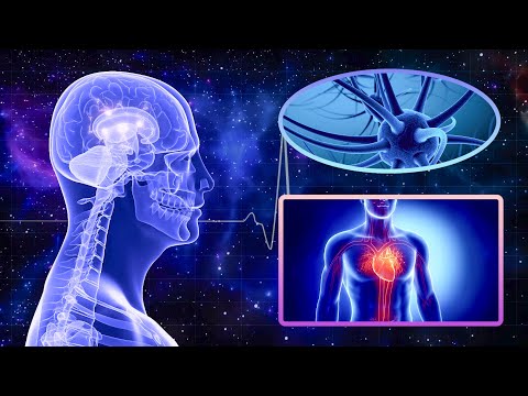 528hz – Whole Body Regeneration – Maximum Rejuvenation Frequency, Memory Improvement, Healing [Video]
