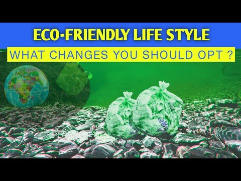 lifestyle changes – lifestyle changes to make the environment pollution free – plastic & recycling [Video]