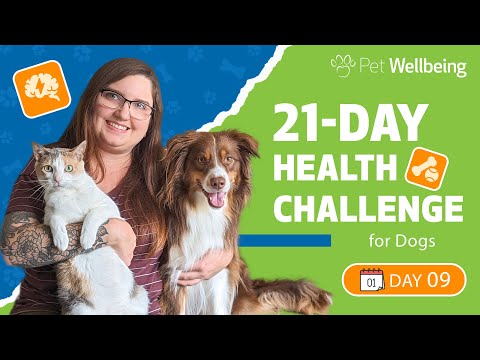 Canine Health Challenge: DAY 9 Teach Your Dog a New Trick [Video]