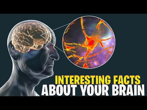 What Happens To Your Brain As You Age [Video]