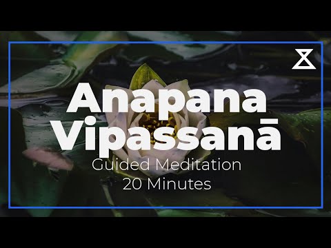 20 Minute Anapana Vipassanā Meditation for Mindfulness (Voice Only, No Music) [Video]