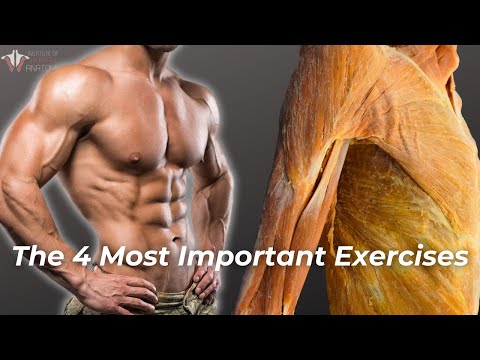 The 4 Most Important Exercises Everyone Should Be Doing [Video]