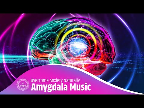 Overcome Anxiety Naturally: Amygdala Music | Hormone-Balancing: Stress Reduction & Better Sleep [Video]