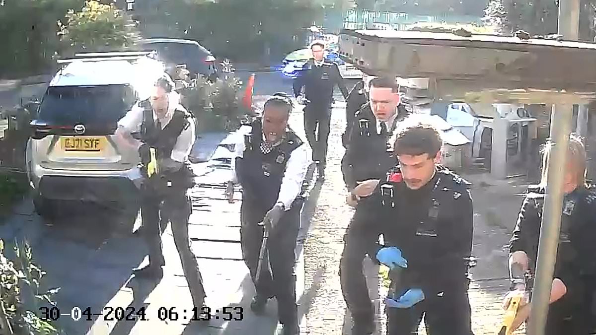 LITTLEJOHN: The Heroes of Hainault prove there are still plenty of proper coppers left [Video]