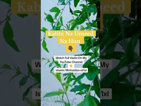 Kabhi Na Umeed Na Hun 🤔 | Islamic Motivation [Video]