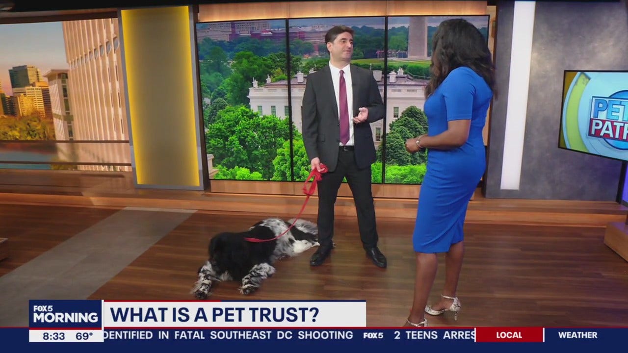 Pet Trusts and caring for your pet after you’re gone [Video]