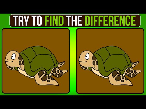 The SIMPLE Way To Keep Your Brain Healthy: Can You Find the Differences? [Video]