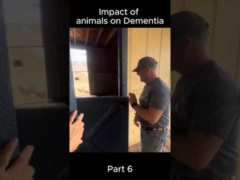 Impact of Animals on Dementia [Video]