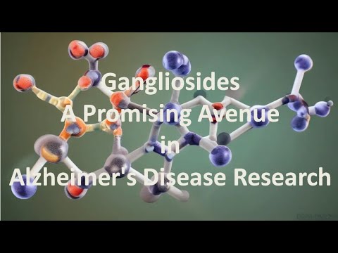 Gangliosides: A Promising Avenue in Alzheimer’s Disease Research [Video]