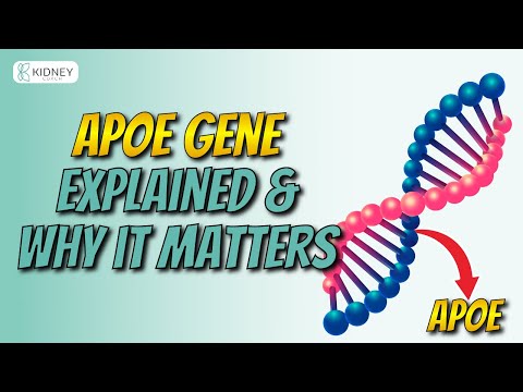 APOE Gene Explained | What Is It & Why It Matters? | ApolipoProtein E Genotype [Video]