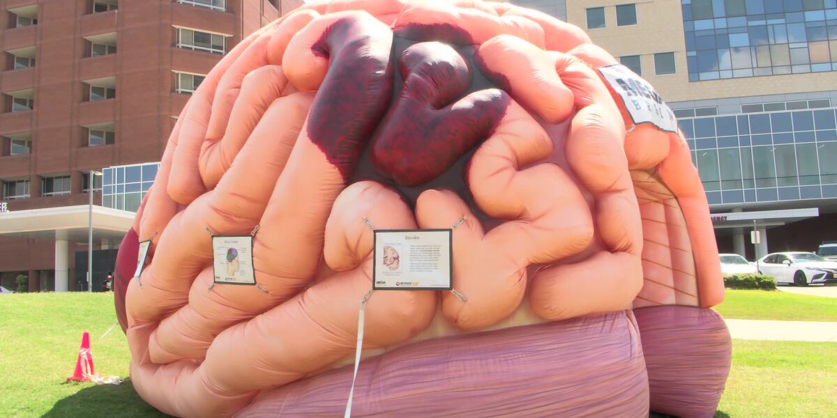 Healthier 901: Big Brain tours provide an inside look at stroke signs and symptoms [Video]