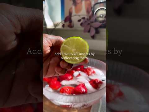 How I Clean My Fruit and Vegetables [Video]