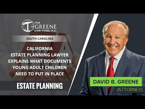 California Estate Planning Lawyer Explains What Documents Young Adult Children Need To Put In Place [Video]
