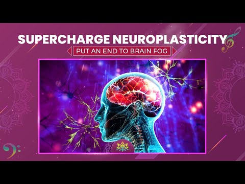 Supercharge Neuroplasticity, Rewire Brain – Put An End To Cognitive Decline & Brain Fog – AlphaWaves [Video]