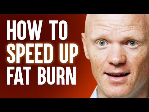 The Surprising Scientific Way To Burn Belly Fat Extremely Fast | Dr. Ben Bikman [Video]
