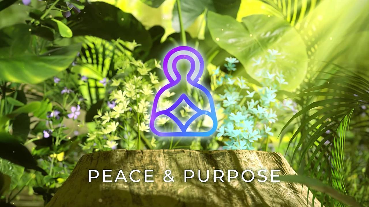 Peace & Purpose – Mindfulness of the Present [Video]