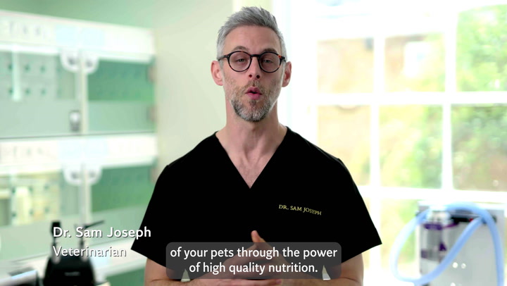 How to nurture your pets wellbeing through high quality nutrition | Lifestyle [Video]