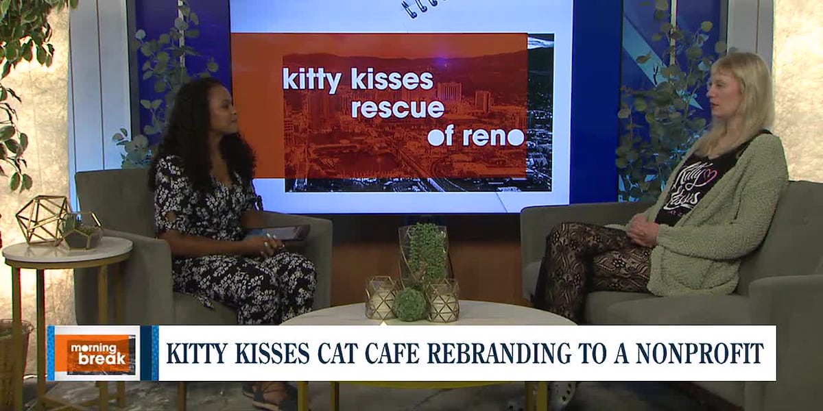 Kitty Kisses Rescue of Reno: A new nonprofit supporting cat welfare in the northern Nevada communty [Video]