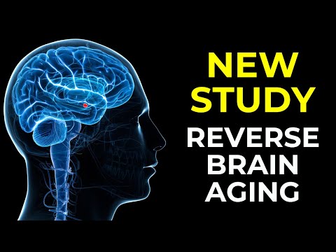 New Study: How to Reverse Aging in the Brain | Senior Living in Arizona [Video]