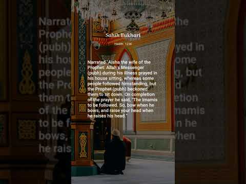 Sahih Bukhari, Hadith: 1236, Forgetfulness in Prayer [Video]