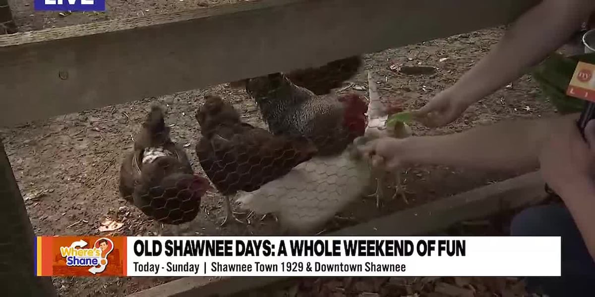 Wheres Shane: Old Shawnee Days [Video]