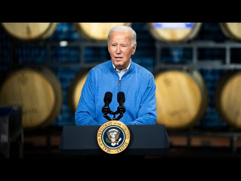 ‘Incredibly alarming’: Democrats questioned over Joe Biden’s mental health decline [Video]