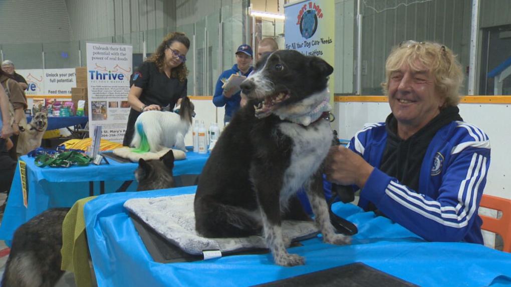 Annual pet expo goes to the dogs (and cats) [Video]
