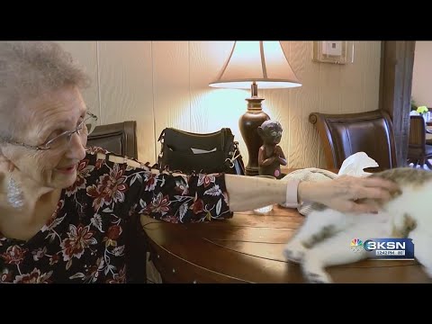 Local dementia Care Homes incorporate pets to help residents [Video]
