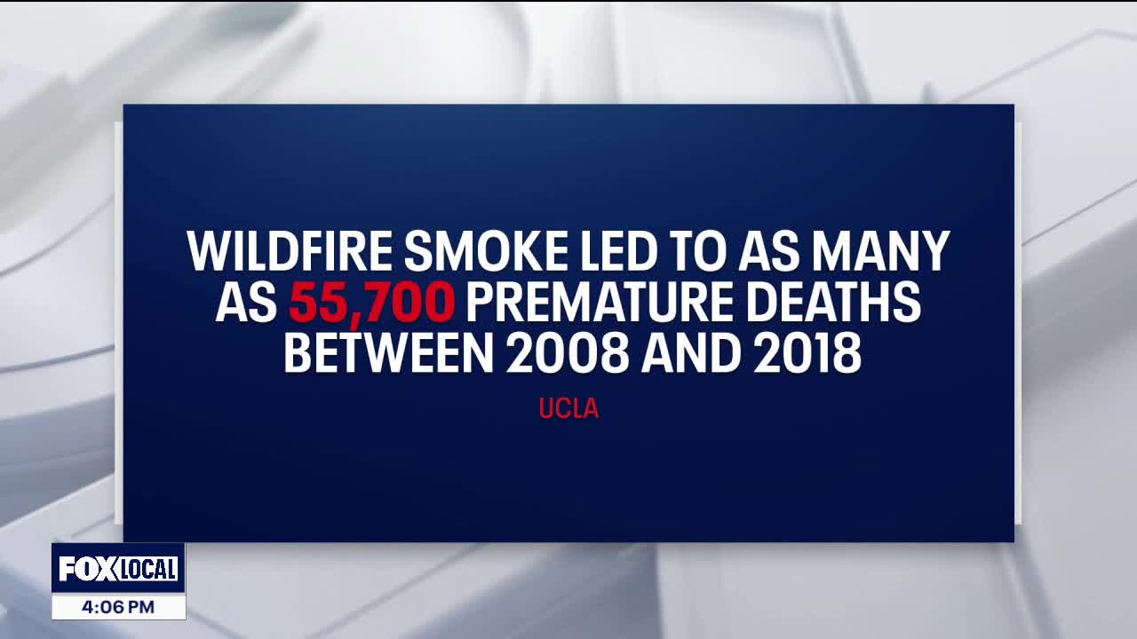 New research sheds light on health effects of wildfire smoke [Video]