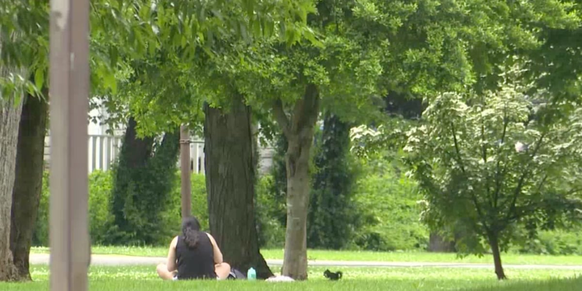 Experts warn to beware of the summer heat in the Ozarks [Video]