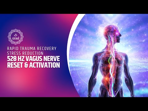 528 Hz Vagus Nerve Reset & Activation – Rapid Trauma Recovery Stress Reduction – Music Therapy [Video]