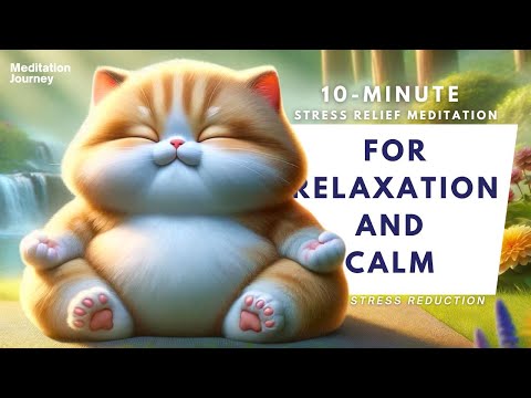 10-Minute Stress Relief Meditation for Relaxation and Calm | Guided Stress Reduction [Video]