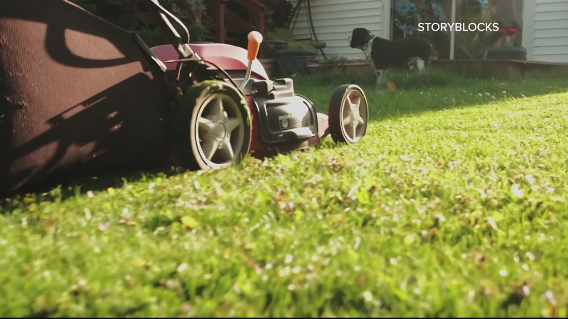 How to protect your lawn during a heat wave [Video]
