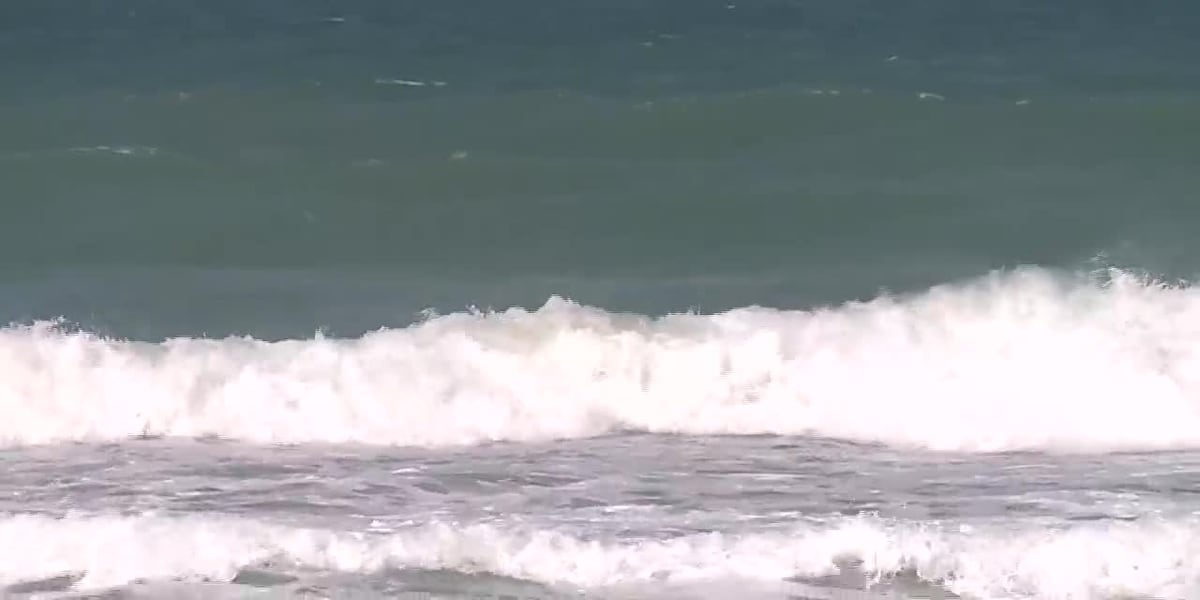 2 people caught in Florida rip current die [Video]