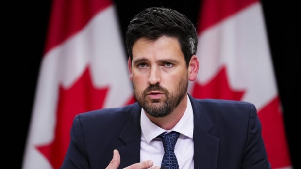 Communities have a choice with federal money, says housing minister [Video]